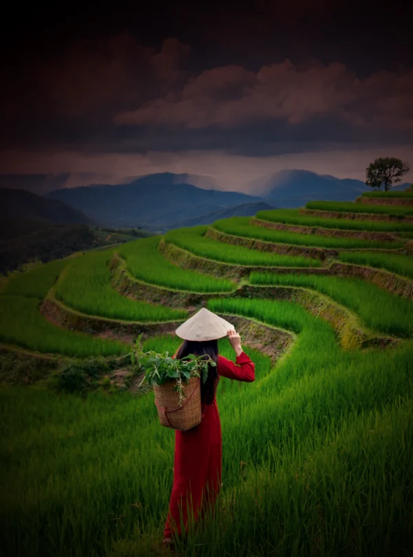 Agri-Tourism